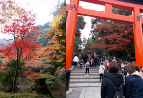 お知らせイメージ