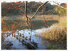 周辺施設イメージ